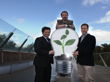 LED lighting industry to accelerate growth